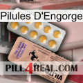 Engorge Pills 41